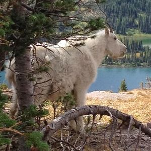 Meet your Posher, Ann